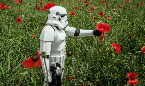 stormtrooper picking red poppies during daytime