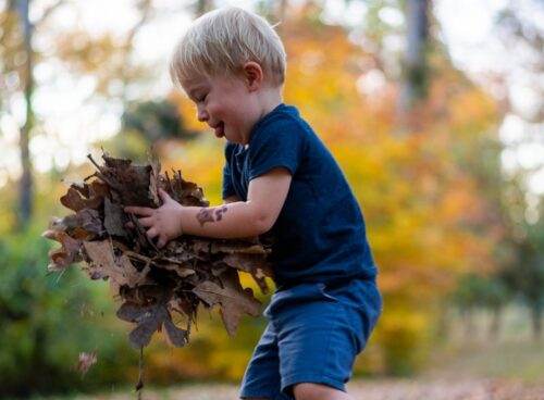 boy in blue t-shirt and blue shorts holding dried leaves