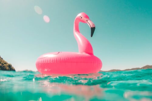 pink flamingo swim ring on body of water in summer