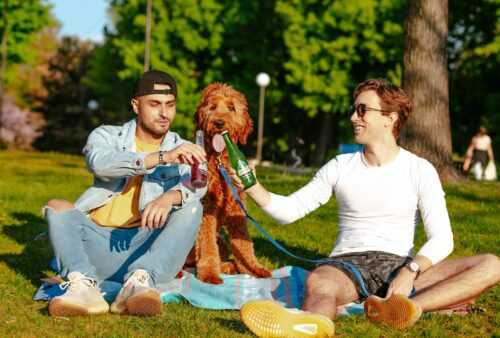 man and woman sitting on green grass field holding brown bear plush toy during daytime