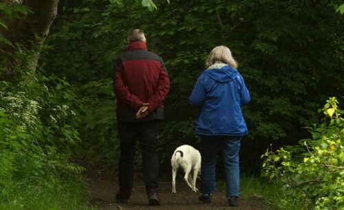 man and woman with white dog walking on dirt road during daytime