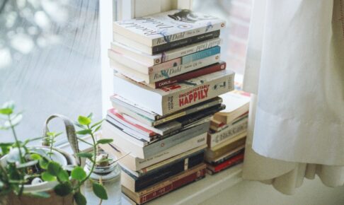 assorted-title book lot beside window