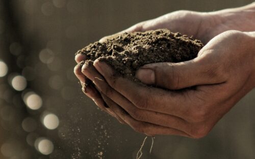 bokeh photography of person carrying soil