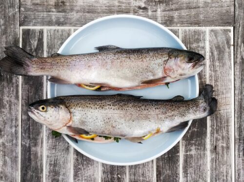 two silver fishes on round white ceramic plate